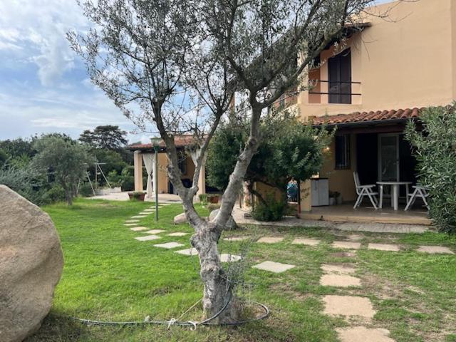 Villa Le Palmette Monte Nai Esterno foto